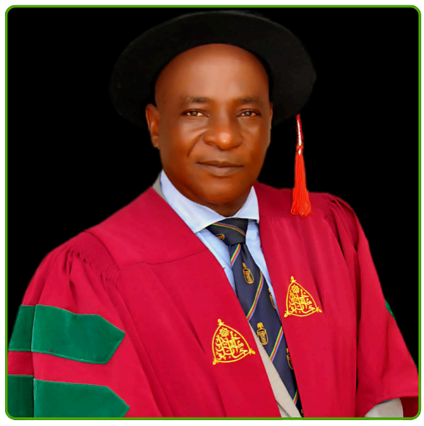 Prof. Abdulmumini Hassan Rafindadi