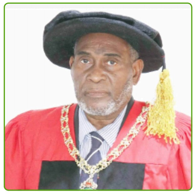 Prof. MM Borodo