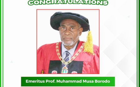 Congratulations to Emeritus Prof. Muhammad Musa Borodo on His Emeritus Professorship – ABUMDAF