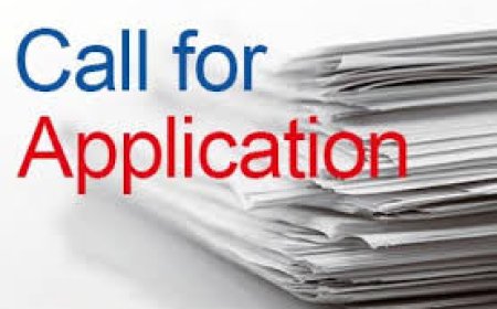 Applications Open – Rising Scholars in Health Innovation Program 2024