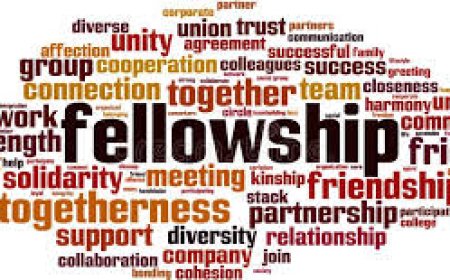 ARUA Early-Career Research Fellowships 2025 – Strengthening Research Capacity in Africa