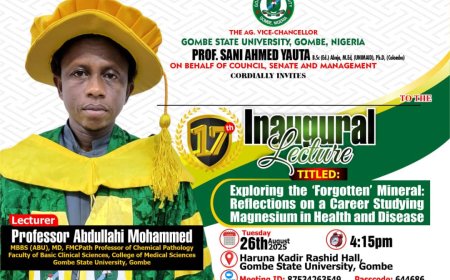 17th Inaugural Lecture at Gombe State University – Professor Abdullahi Mohammed Explores the “Forgotten” Mineral Magnesium