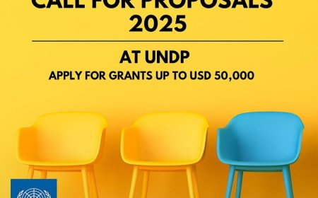 Call For Proposals 2025 at UNDP | Apply for Grants up to USD 50,000