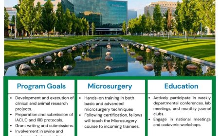 Plastic Surgery Research Fellowship – Cleveland Clinic Foundation | Start Date: June 2026