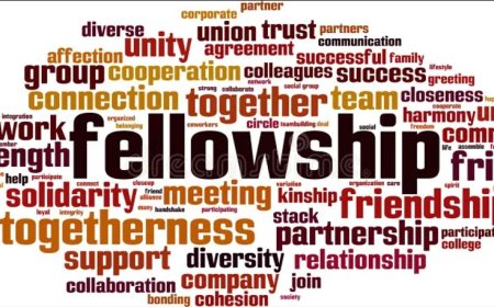 Explore Certified Global Fellowships for Physicians & Biomedical Scientists – Trialect Seizfire Programs