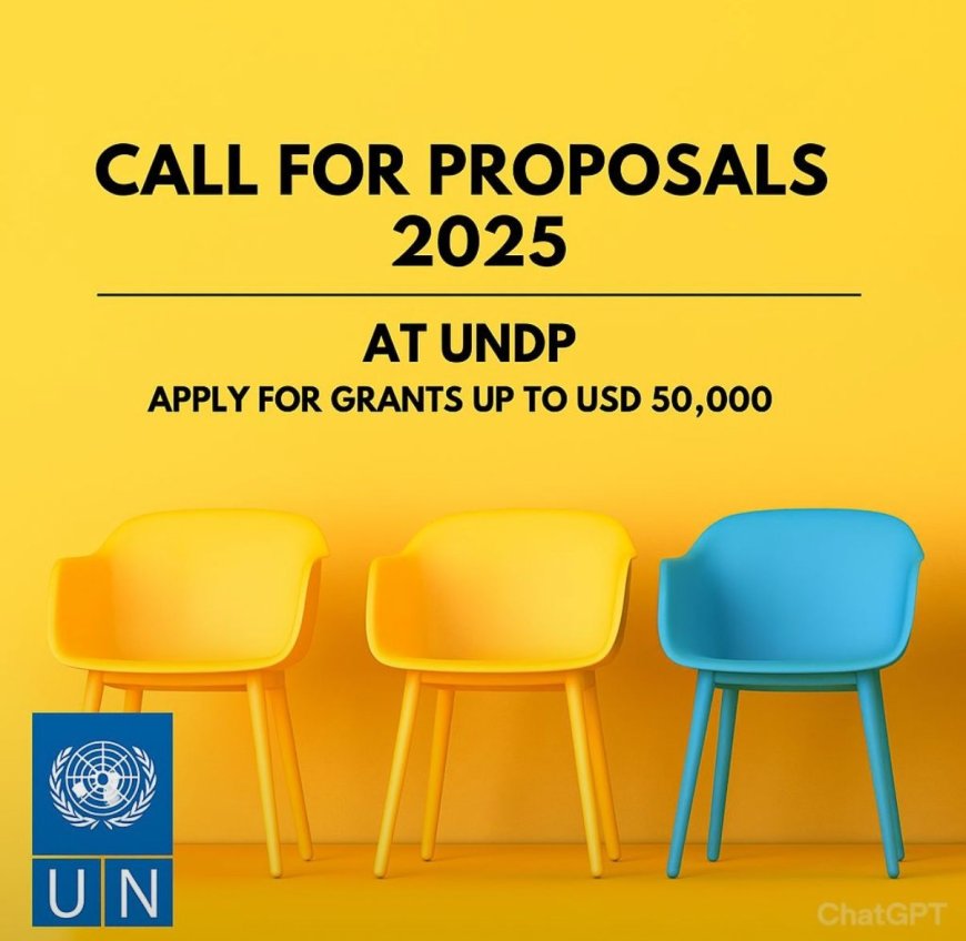 Call For Proposals 2025 at UNDP | Apply for Grants up to USD 50,000