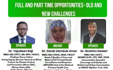 Working with Multilateral Organizations: Full and Part-time Opportunities – Old and New Challenges