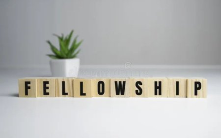 HIAS Fellowships 2027–2028, Hamburg, Germany (Funded)